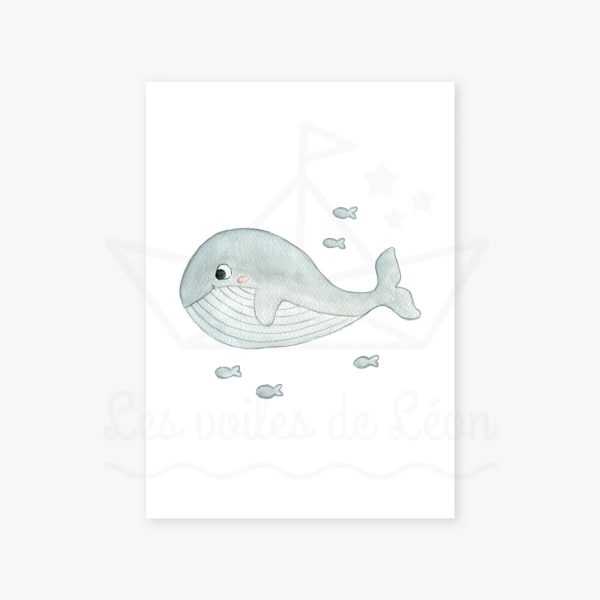 affiche baleine bleue