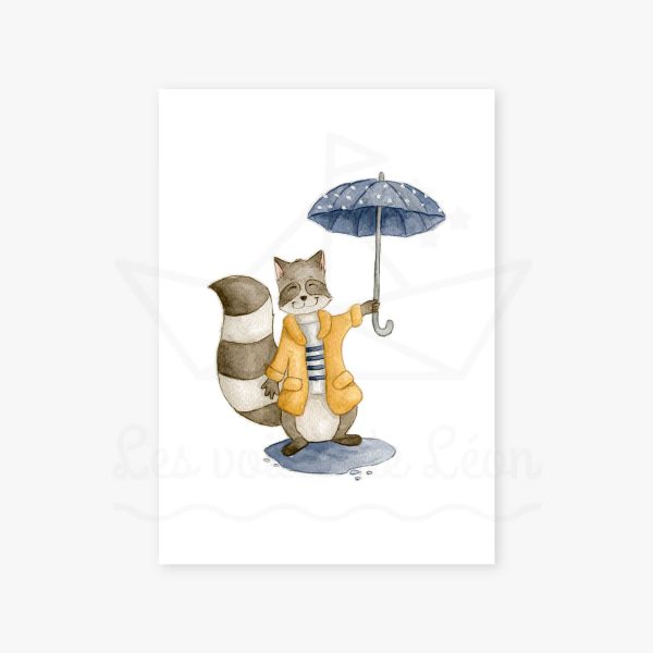 affiche raton-laveur parapluie