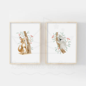 Australie Koala Kangourou Duo Illustrations