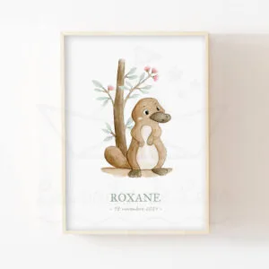 Australie – Ornithorynque – Aquarelle individuelle