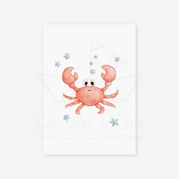 affiche crabe étoiles bleues