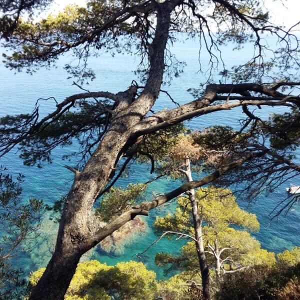 Paysage du Var eau bleue turquoise
