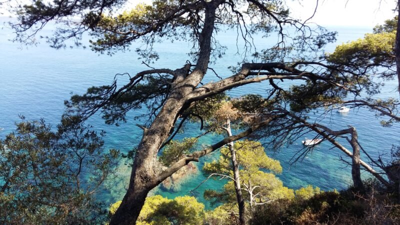Paysage du Var eau bleue turquoise