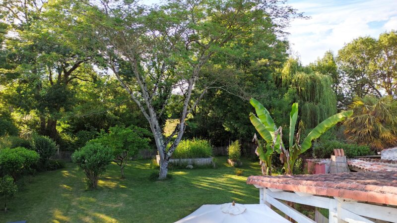 Jardin luxuriant charente maritime