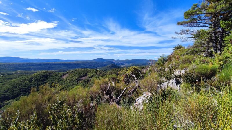 les paysages de l'arrière pays varois avec les montagnes