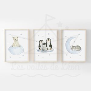 Polaire étoiles – Ours Pingouin Loup – Trio Aquarelles