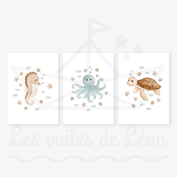 affiches hippocampe pieuvre tortue décoration chambre mer