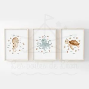 Mer Hippocampe Pieuvre Tortue Trio Aquarelles