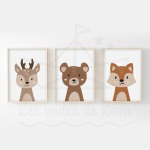 Trio d’affiches animaux de la forêt – Faon Ours Renard