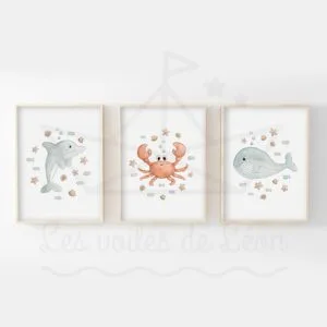 Tableau Chambre Enfant Thème Marin – Lot de 3 Affiches Aquarelle Crabe, Dauphin et Baleine