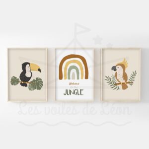 Jungle – Toucan Arc en ciel Perroquet – Lot Affiches