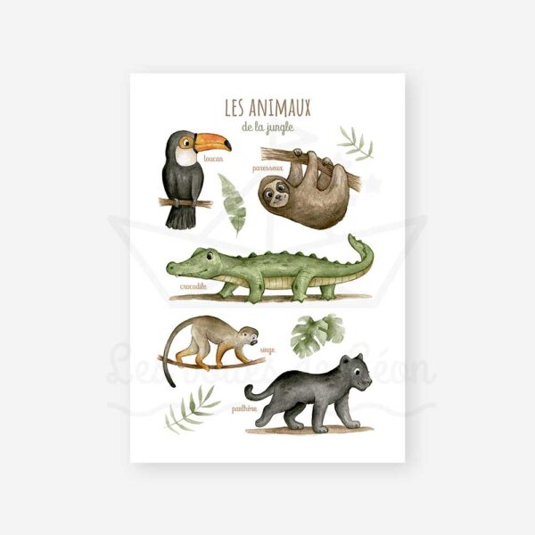 affiche les animaux de la jungle