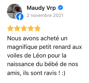 avis affiches les voiles de leon