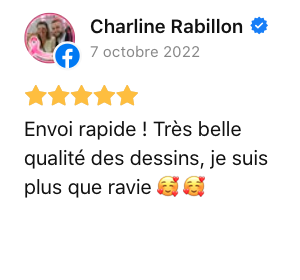 avis client les voiles de leon