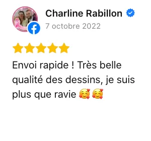 avis client les voiles de leon