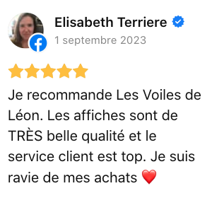 avis les voiles de leon