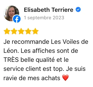 avis les voiles de leon