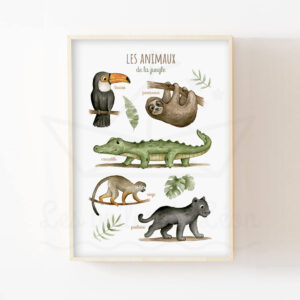 Affiche éducative Animaux jungle – Aquarelle individuelle