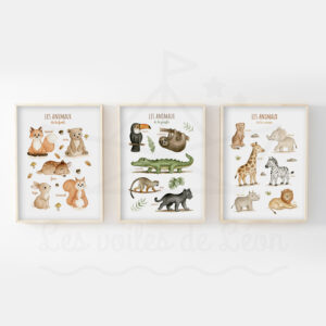 Lot d’affiches éducative – Animaux de la Forêt, Jungle & Savane