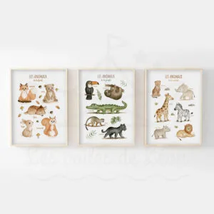 Lot d&rsquo;affiches éducative – Animaux de la Forêt, Jungle & Savane